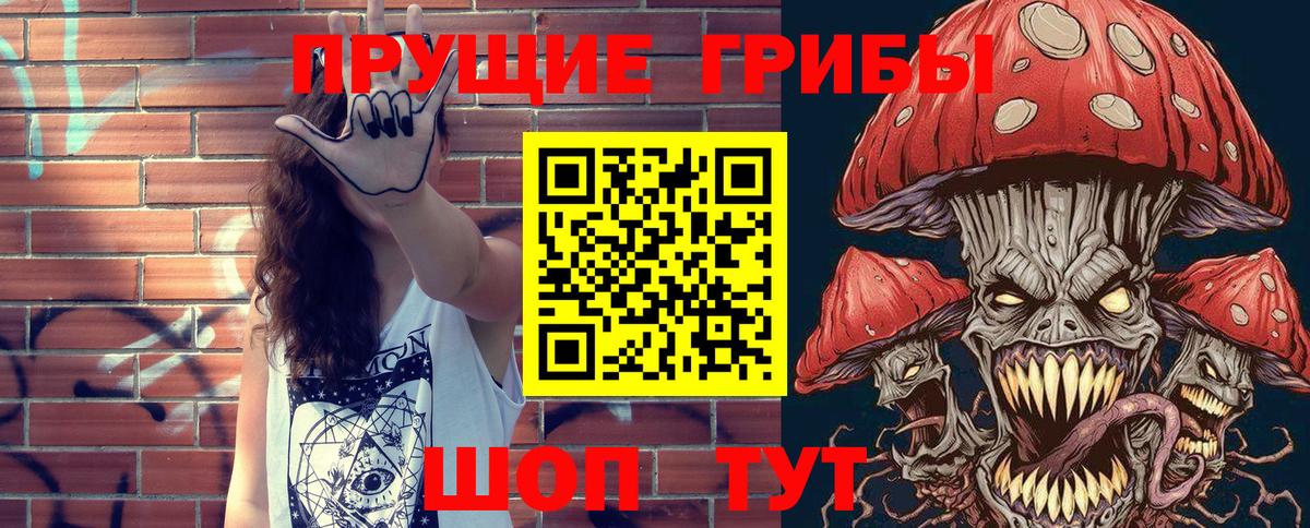 закладка  Вход с VPN  Псилоцибиновые грибы Magic Shrooms  Сертолово  Псилоцибиновые грибы прущие грибы 